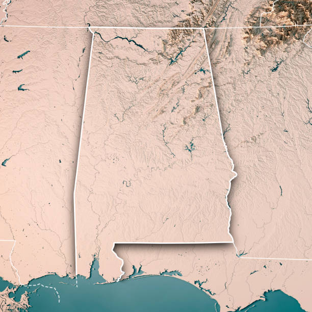 istock Alabama State USA 3D Render Topographic Map Neutral Border 843199306