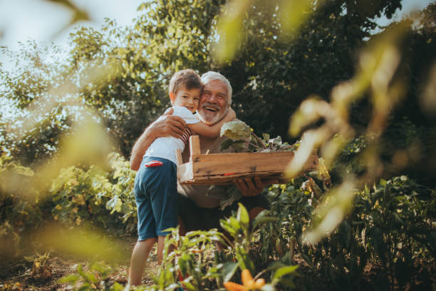abbraccio per un giardiniere - grandfather adult affectionate little boys foto e immagini stock