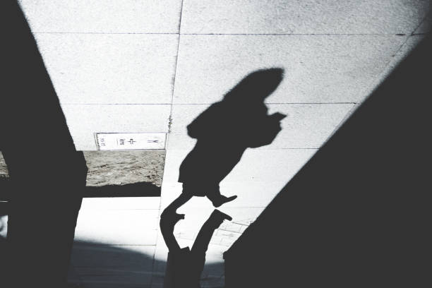 istock Shadow of Person on Patterened Sidewalk 843202342