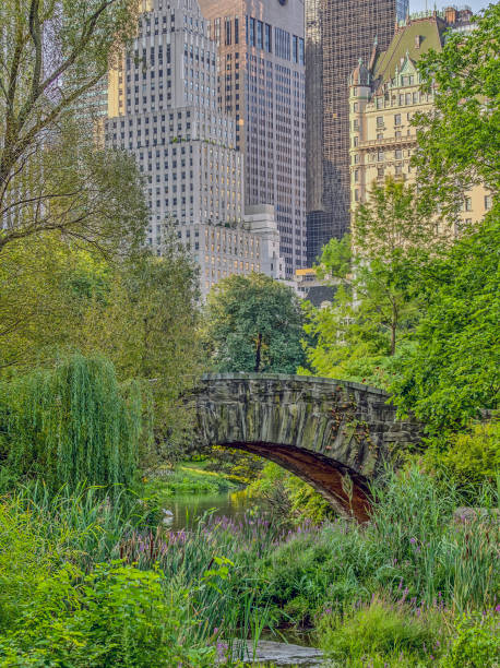 istock Gapstow bridge Central Park, New York City 843202448
