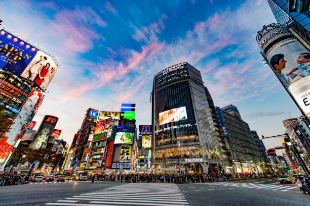 View at the people at the Shibuya crossing in downtown Tokyo, Japan, during the early evening. Shibuya is famous for its scramble crossing. It is located in front of the Shibuya Station Hachiko exit and stops vehicles in all directions to allow pedestrians to inundate the entire intersection.