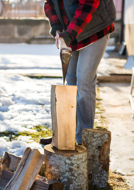 istock Man cutting firewood for the winter 843218292