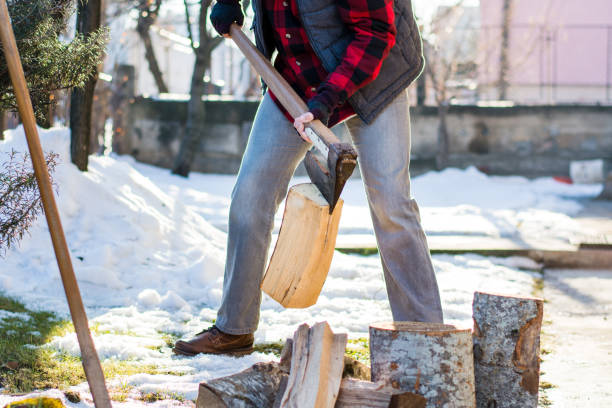 istock Man cutting firewood for the winter 843218576