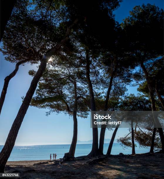 Mallorca Playa De Muro Idyllic Beach Stock Photo - Download Image Now - Balearic Islands, Beach, Beauty In Nature