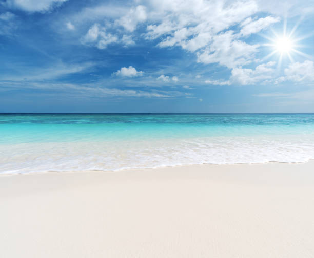 istock Tropical paradise beach with sun 843222826