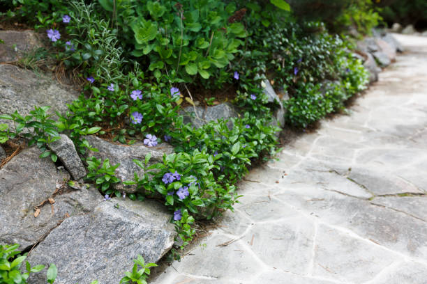 istock Landscape design detail, summer garden path closeup 843226198