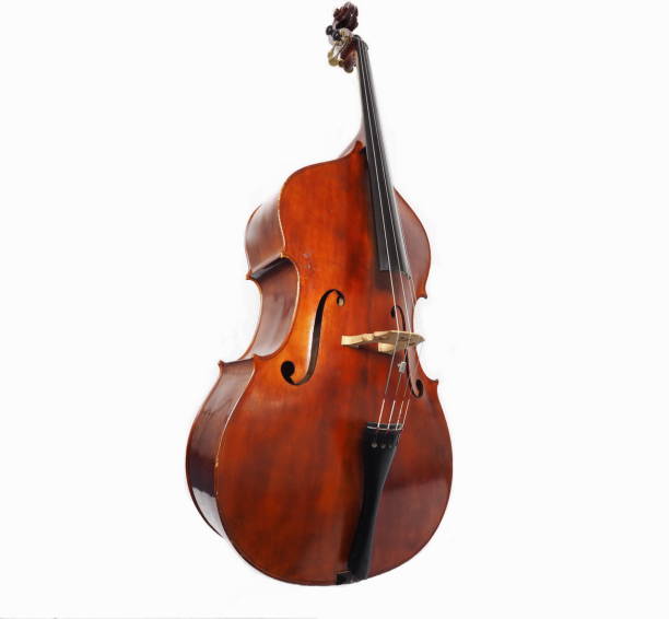 istock Italian double bass 843233792