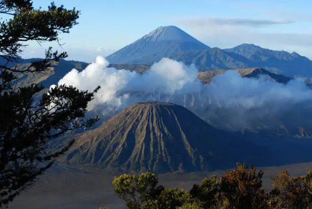 Mount Batok a volcano with clear blue sky at the Tengger Semeru National Park in East Java, Indonesia.