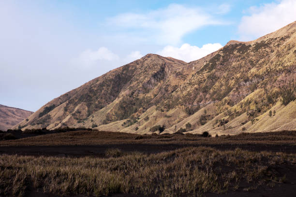istock Foot of mountain near Bromo in East Java, Indonesia. 843249730