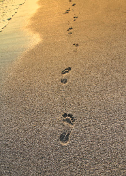 istock Footprints on the beach and sea wave 843252308