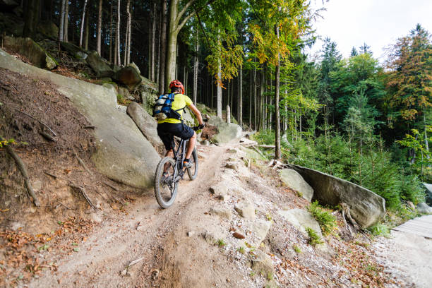 istock Mountain biker riding cycling in autumn forest 843252318