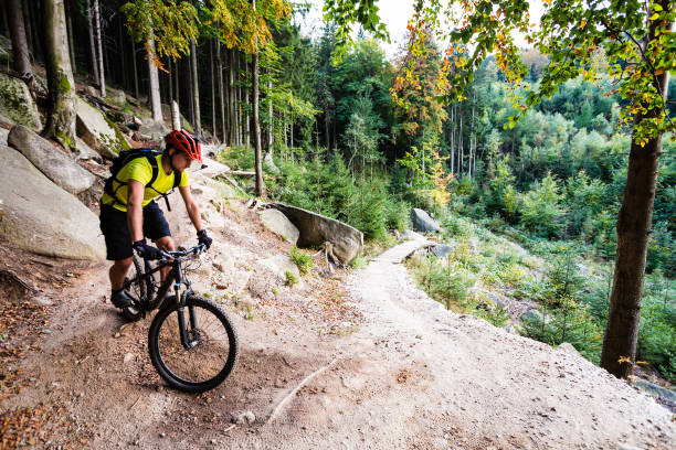 istock Mountain biker riding cycling in autumn forest 843252428