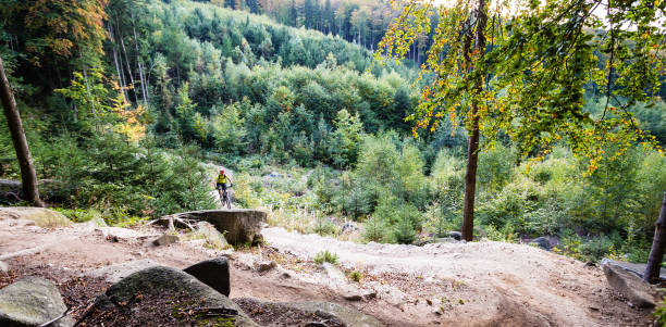 istock Mountain biker riding cycling in autumn forest 843252572