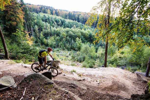 istock Mountain biker riding cycling in autumn forest 843253710