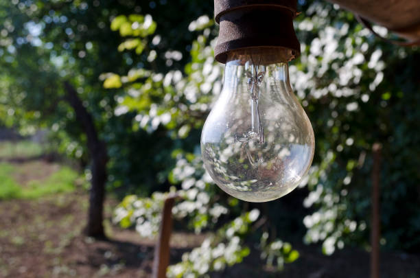 istock Close up of lamp 843257668