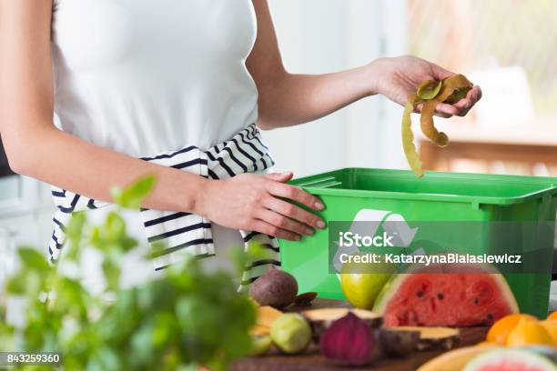 Woman Composting Organic Kitchen Waste Stock Photo - Download Image Now - Garbage, Compost, Recycling