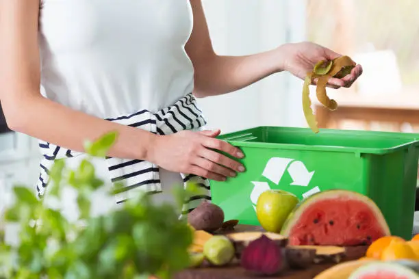 Woman recycling organic kitchen waste by composting in green container during preparation of meal