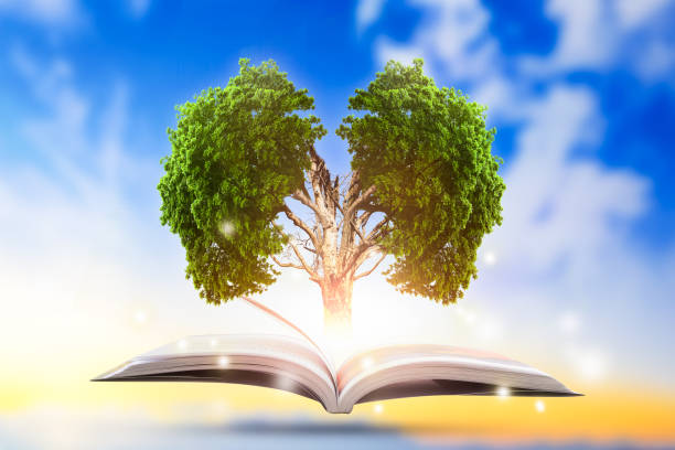 istock Conceptual with green tree of brain growing from book. 843260532