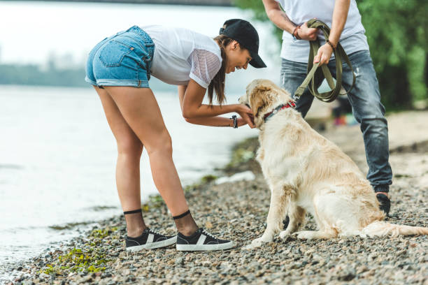 istock couple on walk with dog 843270286