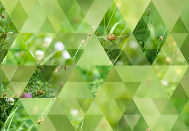 istock Abstract triangle mosaic background: Wild grass meadow 843276508