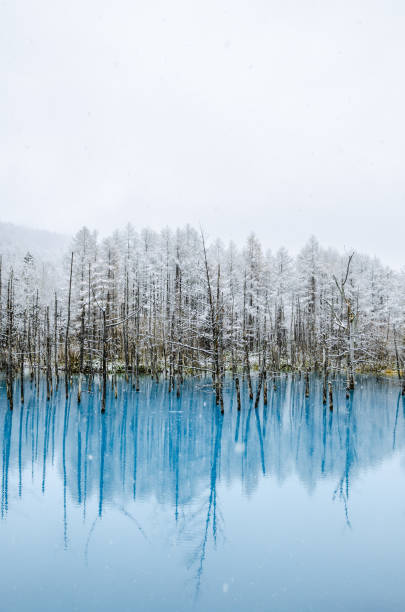 istock Biei Blue Pond, Hokkaido, Japan. 843281342