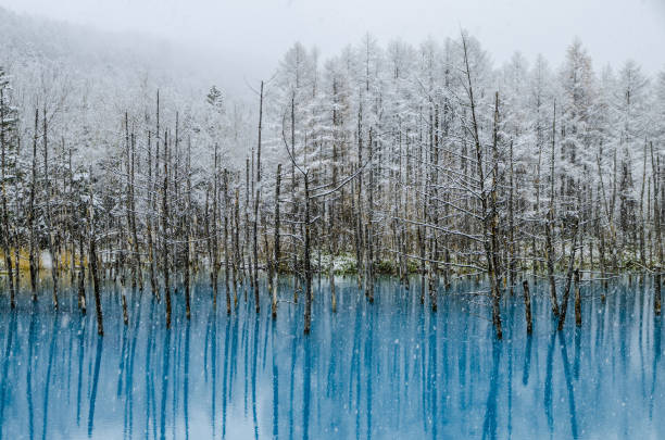 istock Biei Blue Pond, Hokkaido, Japan. 843281350
