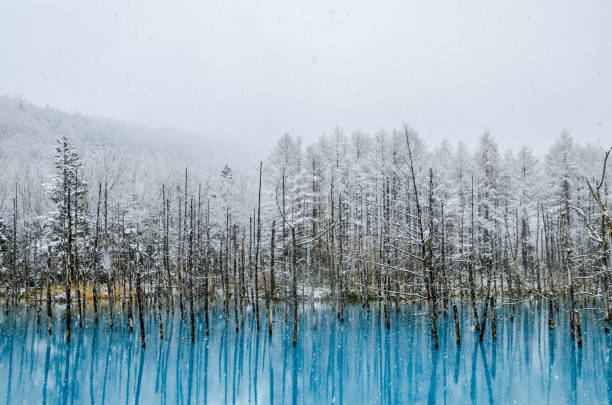 istock Biei Blue Pond, Hokkaido, Japan. 843281358