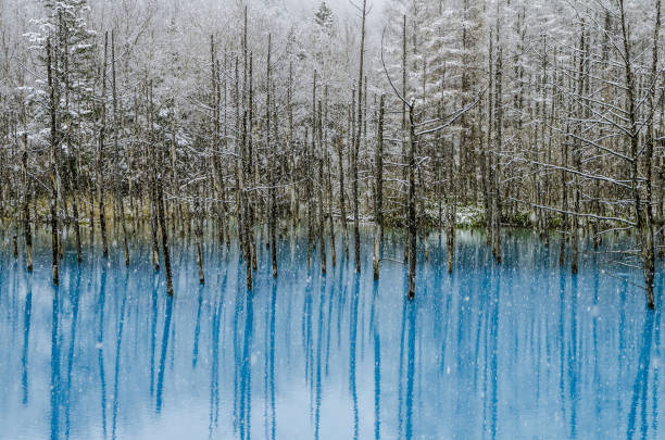 istock Biei Blue Pond, Hokkaido, Japan. 843281366