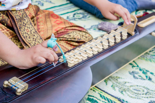chakhe oynayan müzisyen - santur kanun stok fotoğraflar ve resimler
