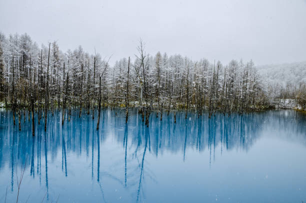 istock Biei Blue Pond, Hokkaido, Japan. 843281400