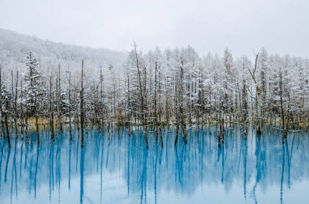 istock Biei Blue Pond, Hokkaido, Japan. 843281404