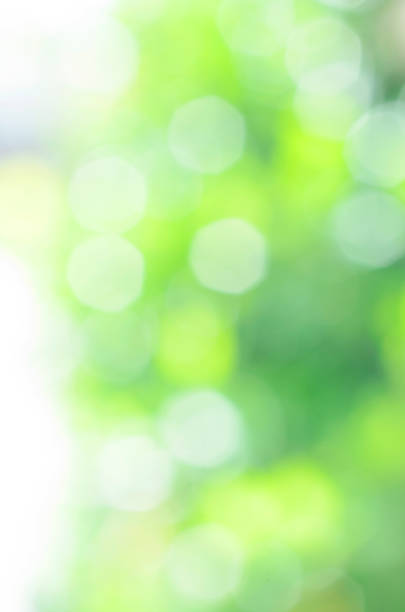 istock Bokeh flare lights green color abstract backgrounds texture 843284552