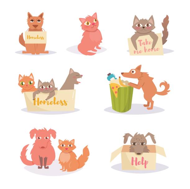 Stray Cats And Dogs Homeless Set Group Stock Illustration - Download Image  Now - Domestic Cat, Stray Animal, Animal - iStock