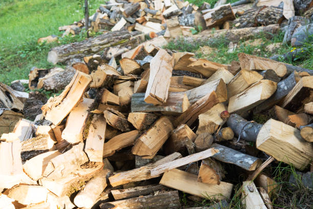istock Pile of firewood 843298122