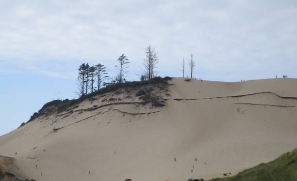 istock A good day for sand surfing 843302074