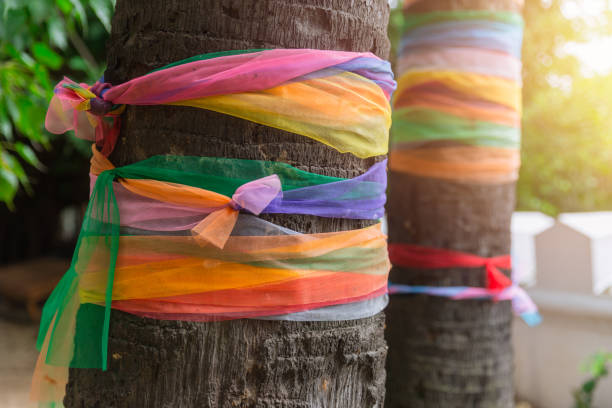 couleurs tissu enveloppant l’arbre ou le tissu sept couleurs serviette enroulé plam tree tissu multicolore lié au temple pour la croyance de l’adoration du bouddha thaï - 7 week old photos et images de collection