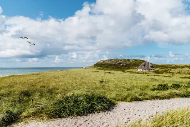 thatched roof house in quaint landscape at the sea under beautiful sky