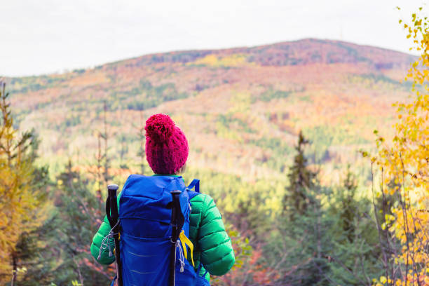 istock Hiking woman with backpack looking at inspirational autumn mountains 843313508