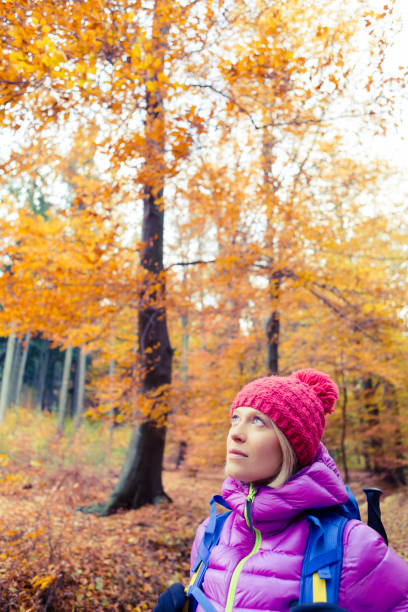 istock Hiking woman with backpack looking up at inspiring autumn trees 843313790