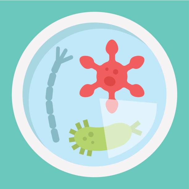 박테리아 플랫 아이콘, 의학 및 의료의 페 트리 접시, 미생물학 기호 벡터 그래픽, 시안색 배경, eps 10에는 다채로운 솔리드 패턴. - petri dish 이미지 stock illustrations