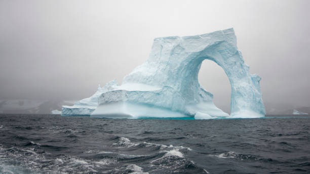 istock South Orkney Islands, Antarctica 843324644