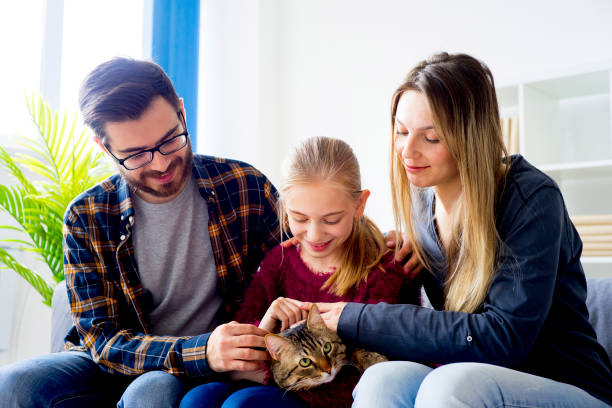istock Family with a cat 843333624