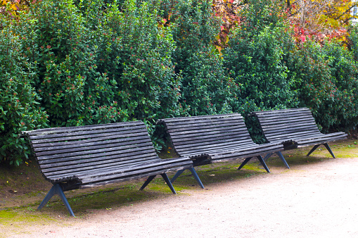 Three old wooden bench in the city park