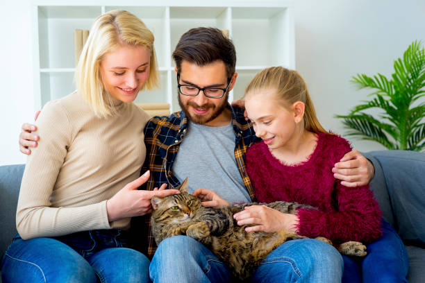 istock Family with a cat 843338854