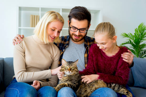 istock Family with a cat 843338988