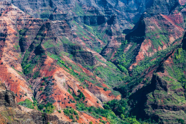 kanion waimea, wyspa kauai, wyspy hawajskie - waimea canyon state park zdjęcia i obrazy z banku zdjęć