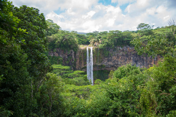 ilha de maurícia chamarel cachoeira - tropical rainforest tropical climate waterfall landscape - fotografias e filmes do acervo