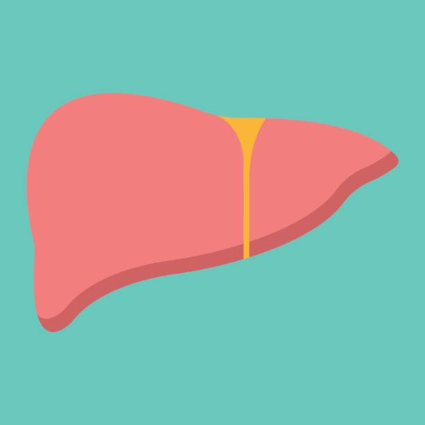 istock Liver flat icon, medicine and healthcare, human organ sign vector graphics, a colorful solid pattern on a cyan background, eps 10. 843348012