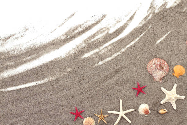 istock Starfishes and sea shells on beach sand 843357990