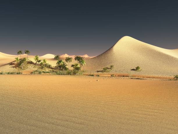 istock Beautiful natural background -African oasis 3d rendering 843367542